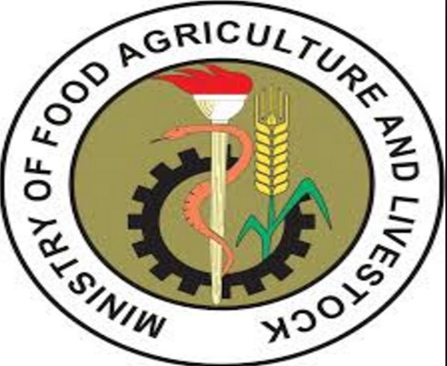 Food and Agriculture